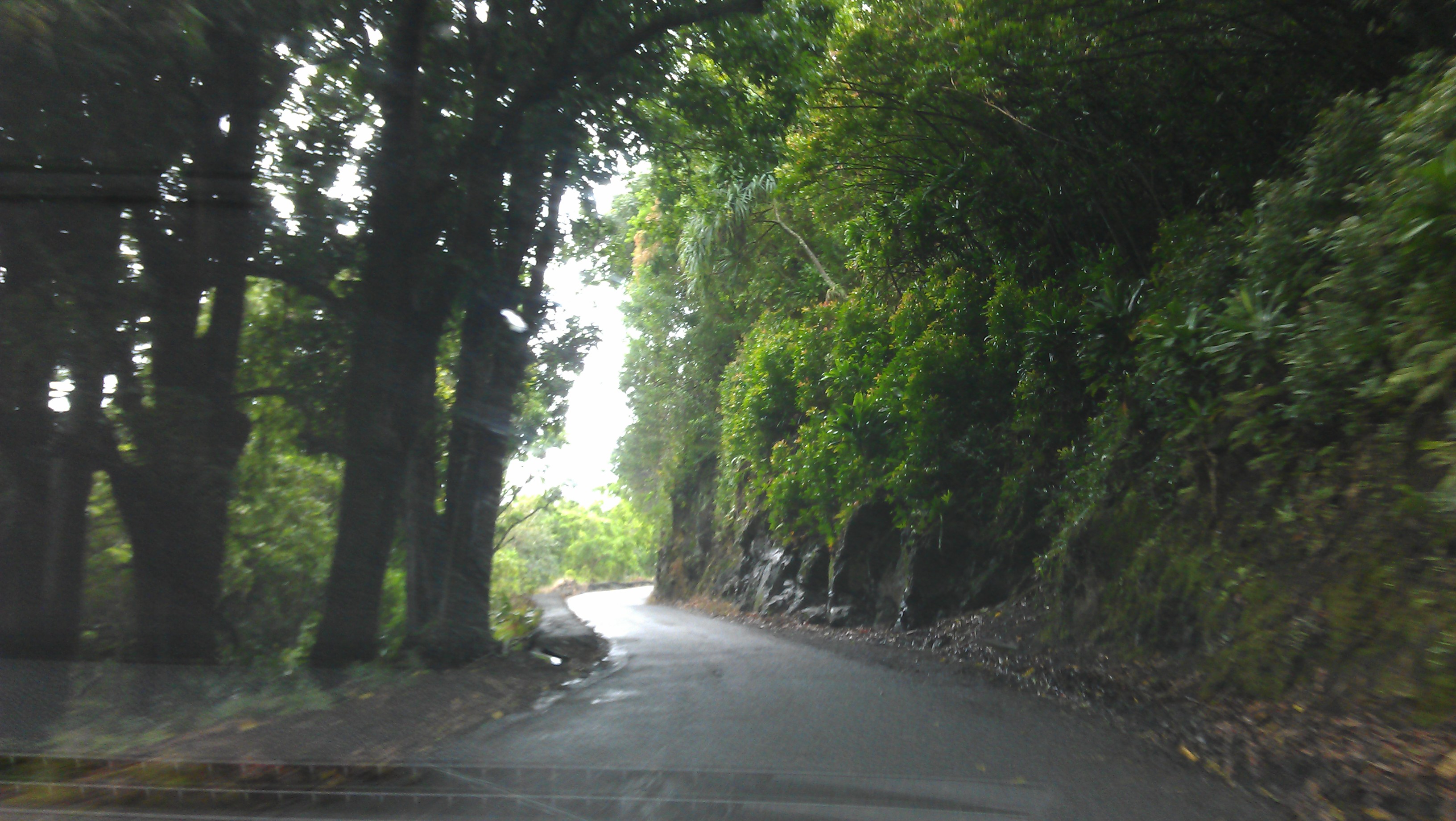 2/21/2012 Rainy Road to Hana