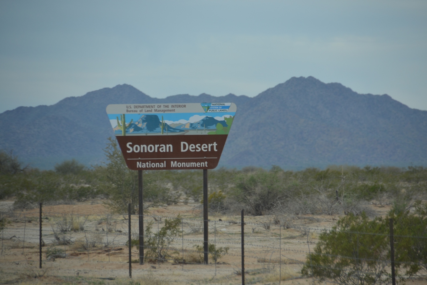 Arizona, Sonoran Desert sign