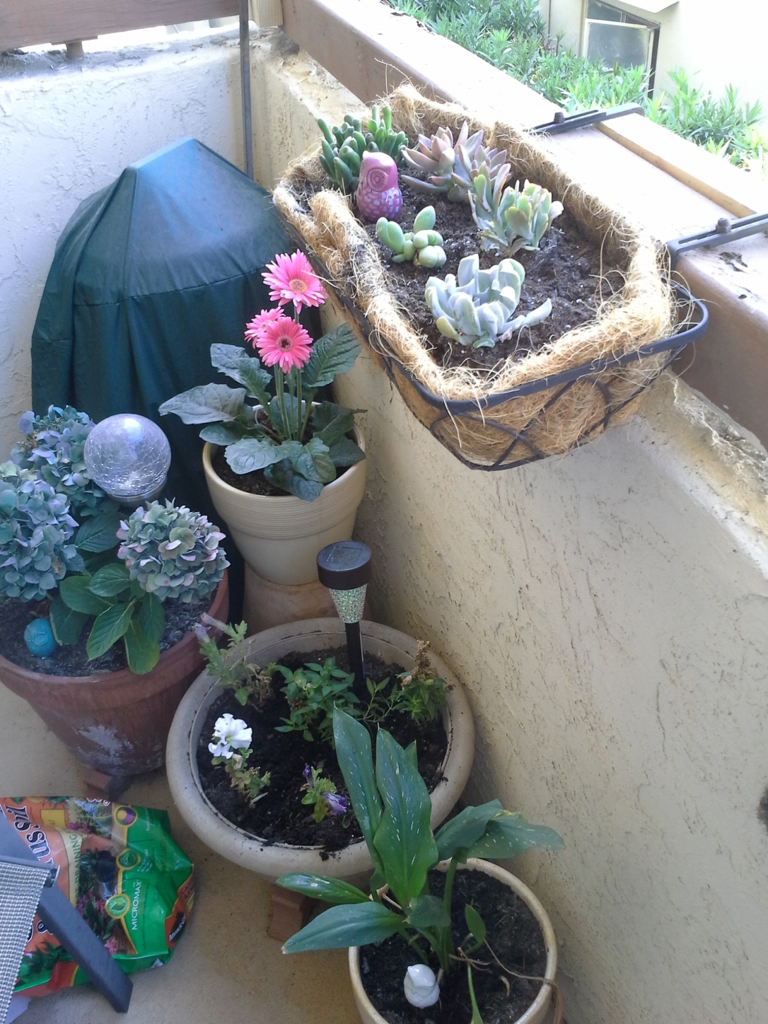 container garden, refreshed